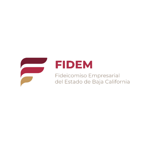 FIDEM