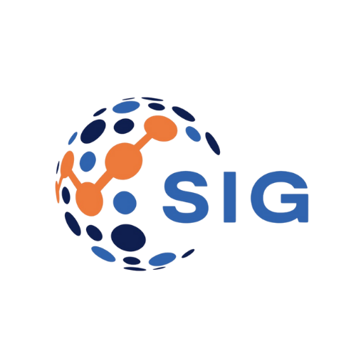 SOLUCIONES SIG